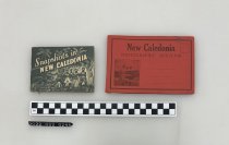 Program, Photographic